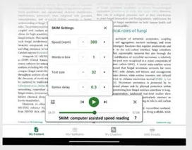SKIM settings: speed, words in box, text size, syntax delay